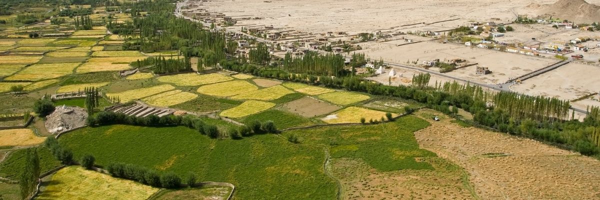 Land Barons or Dirt Farmers: Finding Land Transactions